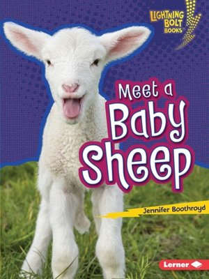 cover image of Meet a Baby Sheep